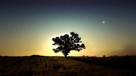 Fond d écran lumière du soleil des arbres paysage le coucher du