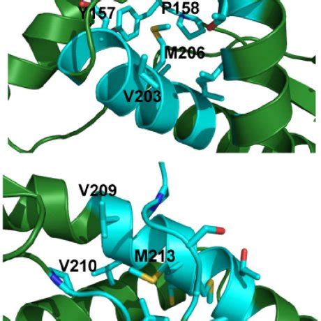 Effect Of The Side Chain Oxidation On The Time Evolution Of Secondary