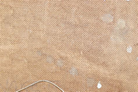 Lars Palmqvist Nude Figure Study S Oil On Board Framed For Sale At Pamono