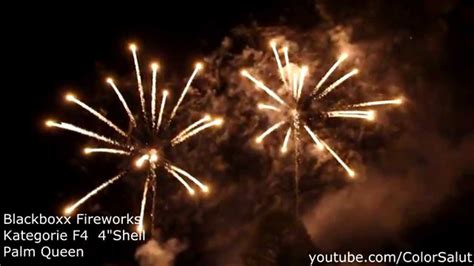 Shell Palm Queen Kollektion Kat F Blackboxx Fireworks