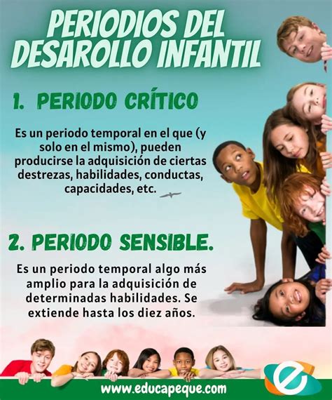 Periodo Cr Tico Y Sensible Psicolog A Del Desarrollo Colegio De