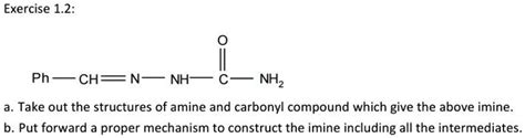 Solved Exercise 1 2 Ph Ch Nh Nh2 Take Out The Structures Of Amine And Carbonyl Compound