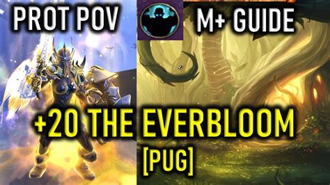 Everbloom Eb Season Mythic Plus M Guide Prot Paladin Tank