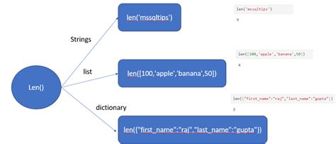 Polymorphism In Python Code Examples Functions Classes Inheritance