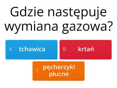 Klasa Przyroda Oddechowy Materia Y Dydaktyczne