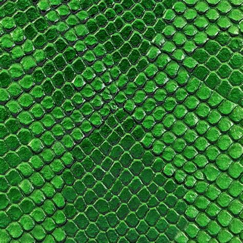 Green snake skin texture. Reptile and serpent scales surface. Graphic ...