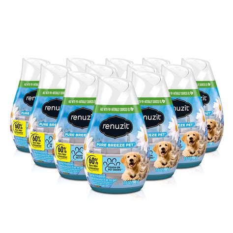 Amazon Renuzit Gel Air Freshener Pure Breeze Pack Count