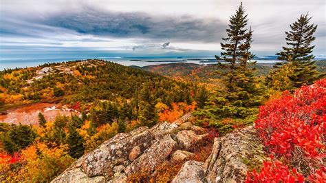 Bar Harbor In October Opal Collection