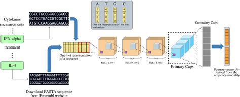 Figure From Amalgamation Of Protein Sequence Structure And Textual