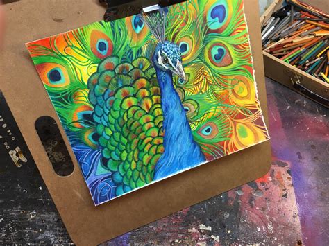 Peacock Colored Pencil Drawing R Peacocks