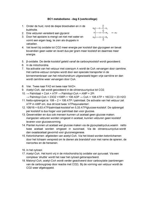 Werkcollege Bc Metabolisme Dag Bc Metabolisme Dag