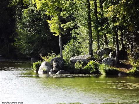 Etang du bois pouvreau Natuur MÃnigoute Deux SÃvres Poitou