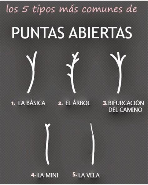 Tipos De Puntas Abiertas Puntas Abiertas Puntas Del Cabello Secas