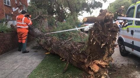 Gale Force Winds Cause Destruction Across The Inner West And Cbd