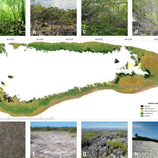 Terrestrial habitat map of Aldabra Atoll (reference year 2011). Photos ...