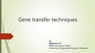 Gene transfer methods | PPT