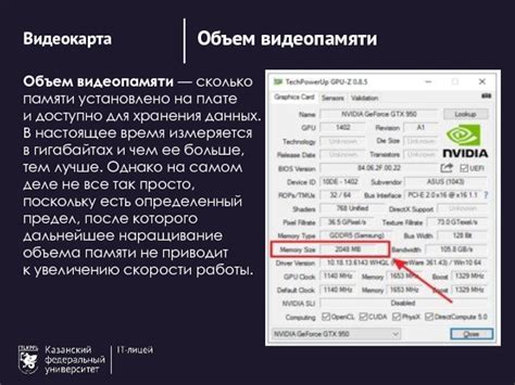 Видеокарта. Виды видеокарт