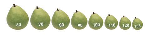 Sizing And Grading Usa Pears Trade Site