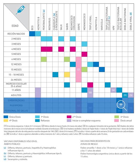 Calendario Nacional De Vacunación Stamboulian Servicios De Salud