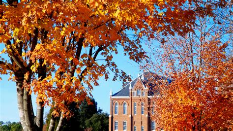 Most Beautiful College Campuses In America Academic Influence