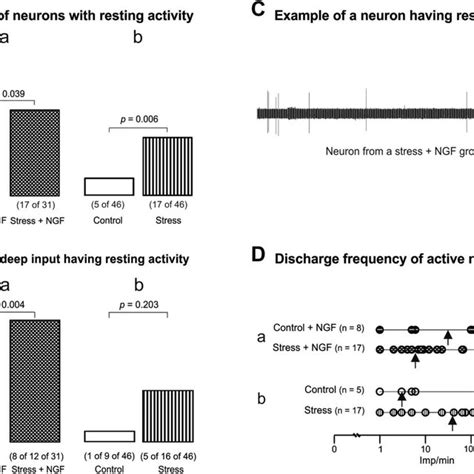 Resting Activity Of Dorsal Horn Neurons A The Proportion Of Neurons