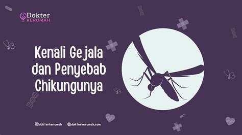 Kenali Gejala Dan Penyebab Chikungunya Dokter Ke Rumah