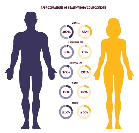 body fat percentage chart Archives - Mobile Physiotherapy Clinic