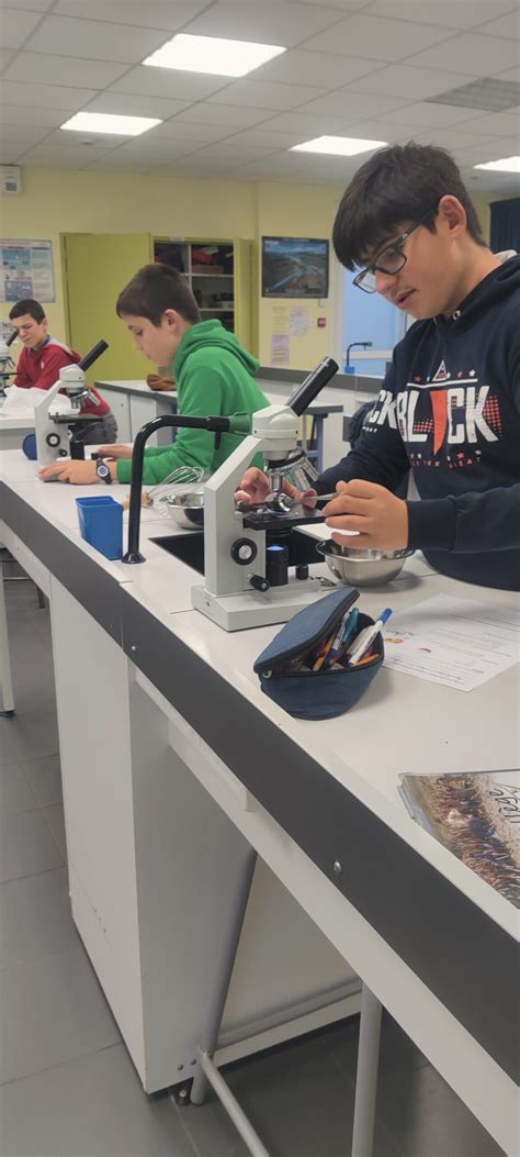 Le Labo Cuisine Collège Ste Anne