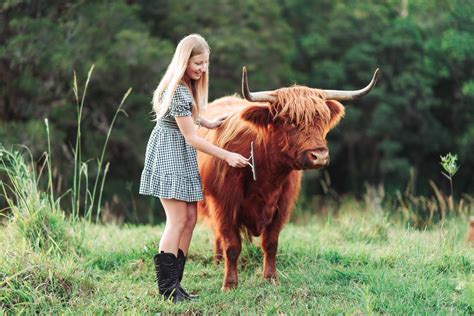 Highland Cow Photography — Koolah Creek Highland Cattle