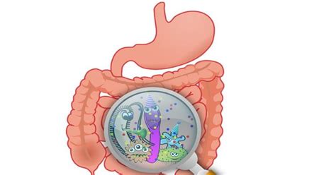 Síntomas De La Gastroenteritis En Niños