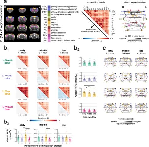 Resting State Functional Connectivity Rsfc A To Calculate