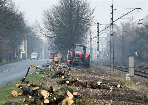 Wycinka drzew wzdłuż linii kolejowej przy ul Marka z Jemielnicy w