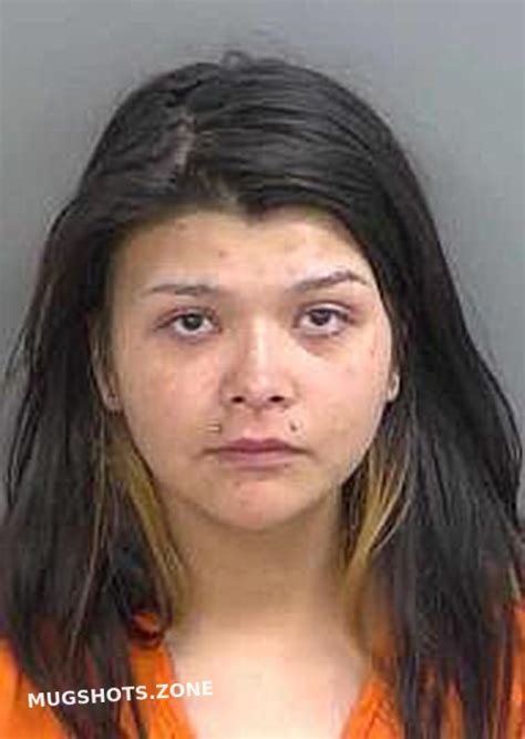 Maldonado Alyssa Collier County Mugshots Zone