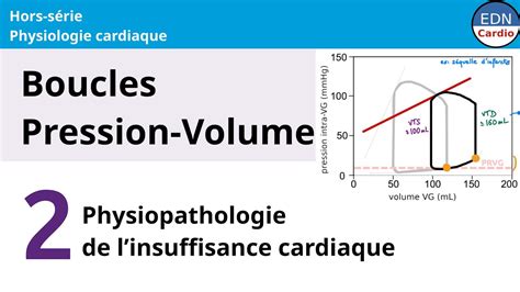 Physiologie Cardiaque Boucle Pression Volume Rationnel De L