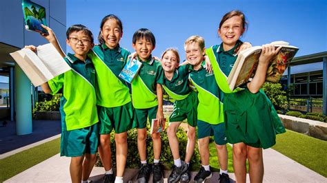 NAPLAN results 2023: How Qld’s schools performed | Geelong Advertiser