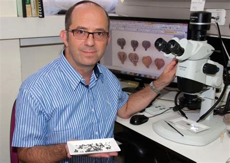 Ehud Weiss Bar Ilan Universit Image Eurekalert Science News Releases