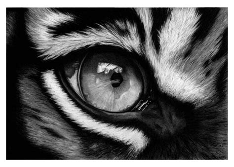 eye in the tiger workout routines build massive muscle fast 7