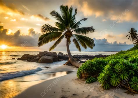 Sunset On A Rocky Sandy Beach Nature Background Wallpaper Sunset