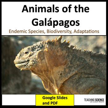 Animals of the Galápagos Islands Reading Passages Biodiversity TPT