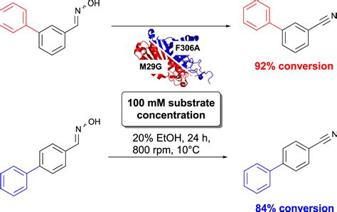 Novel Approach Toward Industrial Aromatic Nitriles Via Biocatalysis