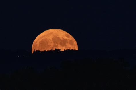 You Woodnt Want To Miss The Beaver Moon Last Supermoon Of 2024