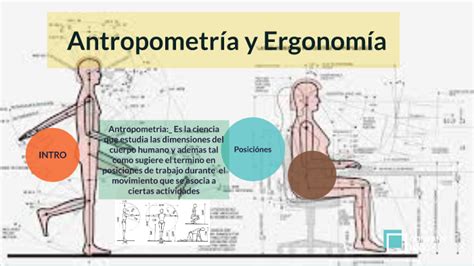 Antropometria y Ergonomia by césar fernando gonzales canales on Prezi