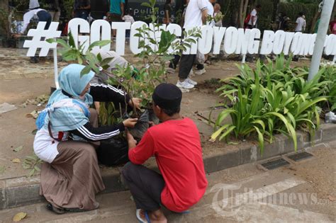 Gotong Royong Boyong Pohon Pada Acara Car Free Day Foto