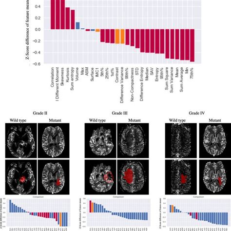 Comparisons Of Idh Wild Type And Idh Mutant Gliomas Within Who Grades Download Scientific