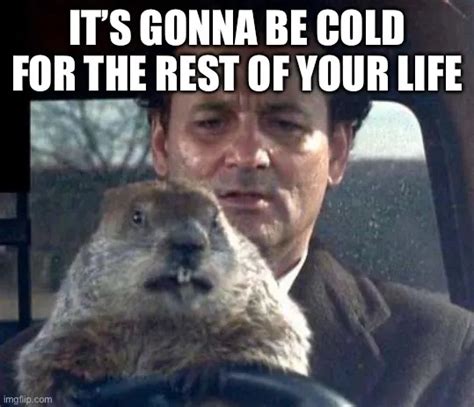 The Funniest 2024 Groundhog Day Memes To Share Lola Lambchops