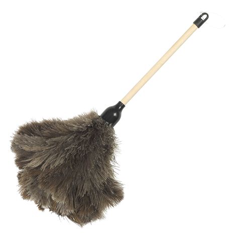 Feather Duster Feather Duster Feather Duster