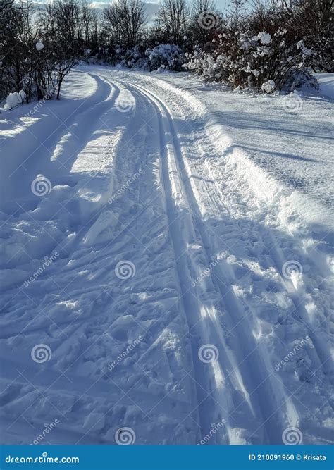 A Cross Country Ski Track Forms Curved Trail That Disappears Into The