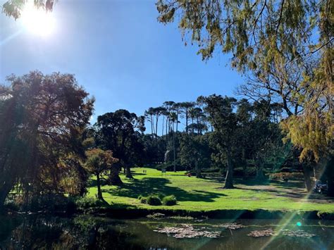 Best 3 Things To Do At Wynberg Park Cape Town