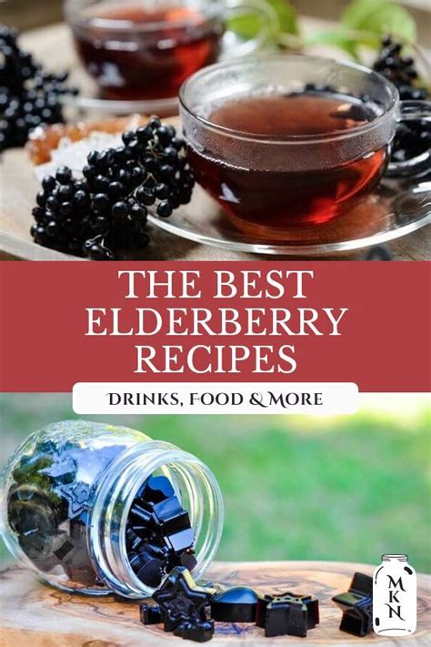 29 of the BEST Elderberry Recipes (Dried Elderberry Recipes ...