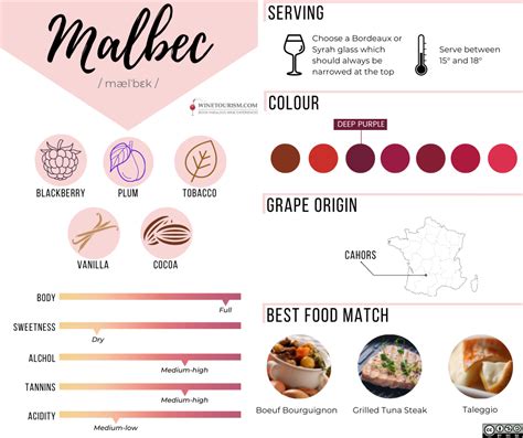 Interesting facts about Malbec | WineTourism.com